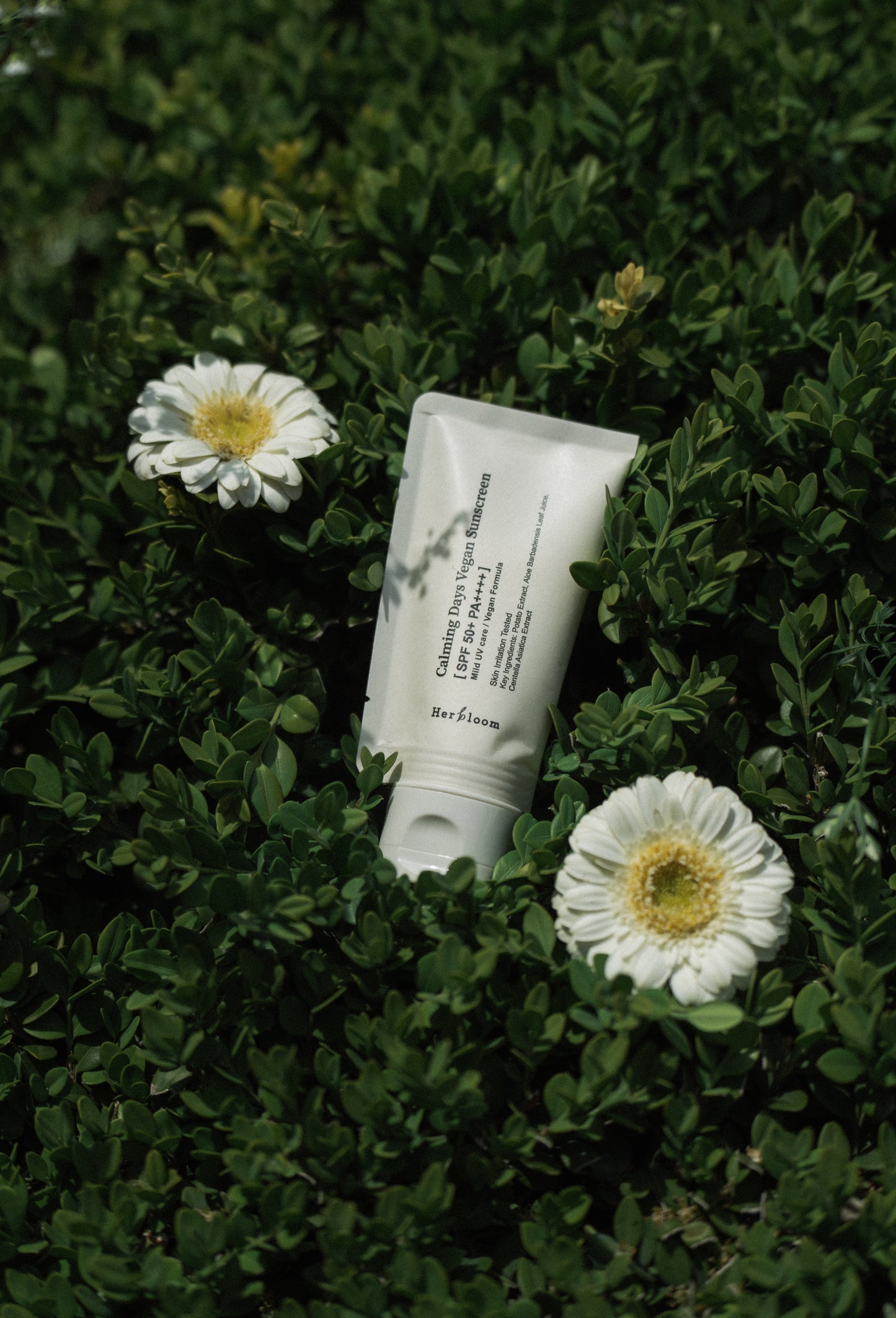 HERBLOOM Calming Days Vegan Sunscreen - 50 ml